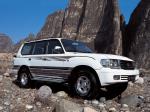 ZXAuto Fuqi 6500 2004 года